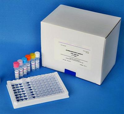 大鼠抗核膜糖蛋白210抗体(gp210)ELISA分析试剂盒说明书_上海岚派生物科技